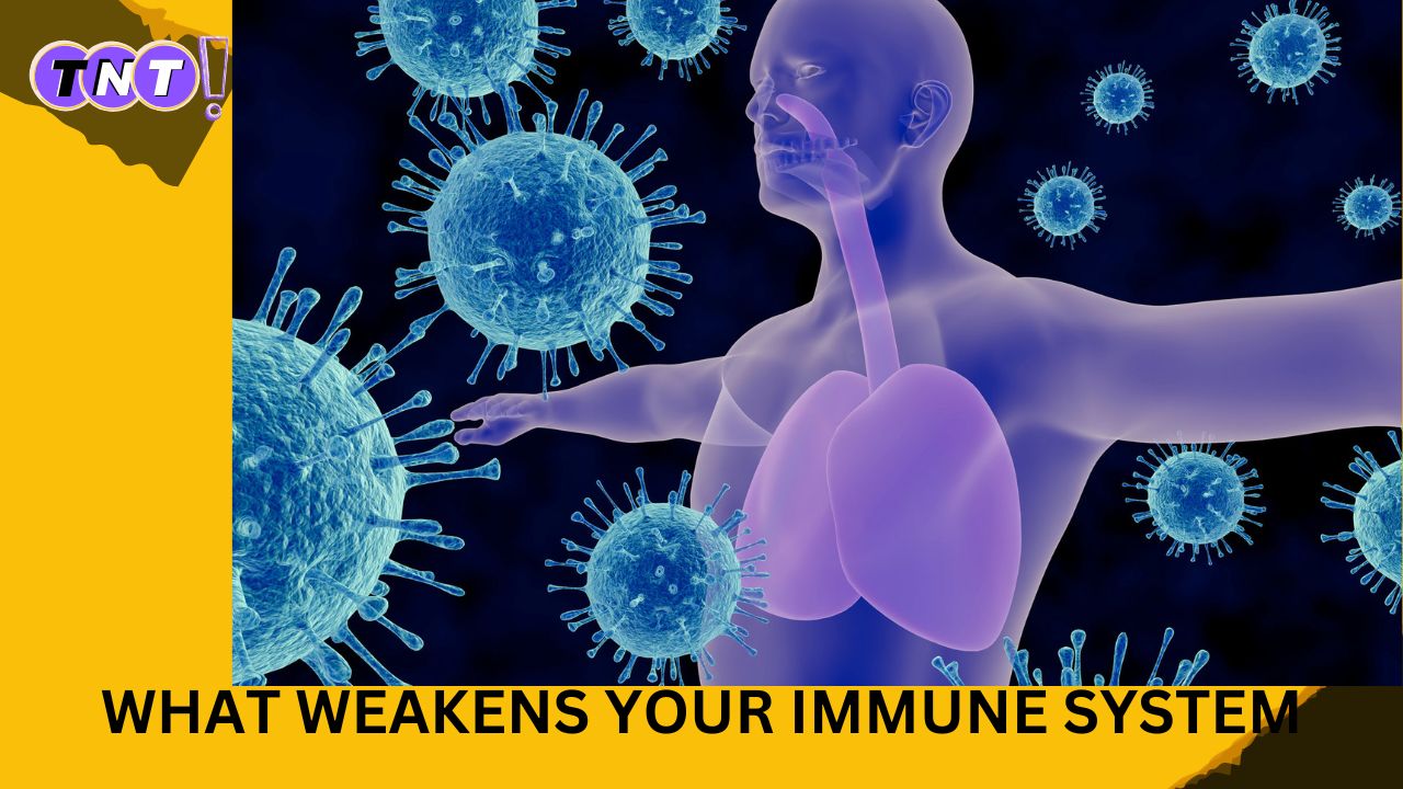 Things You Do That Weakens Your Immune System: What You Need to Know”