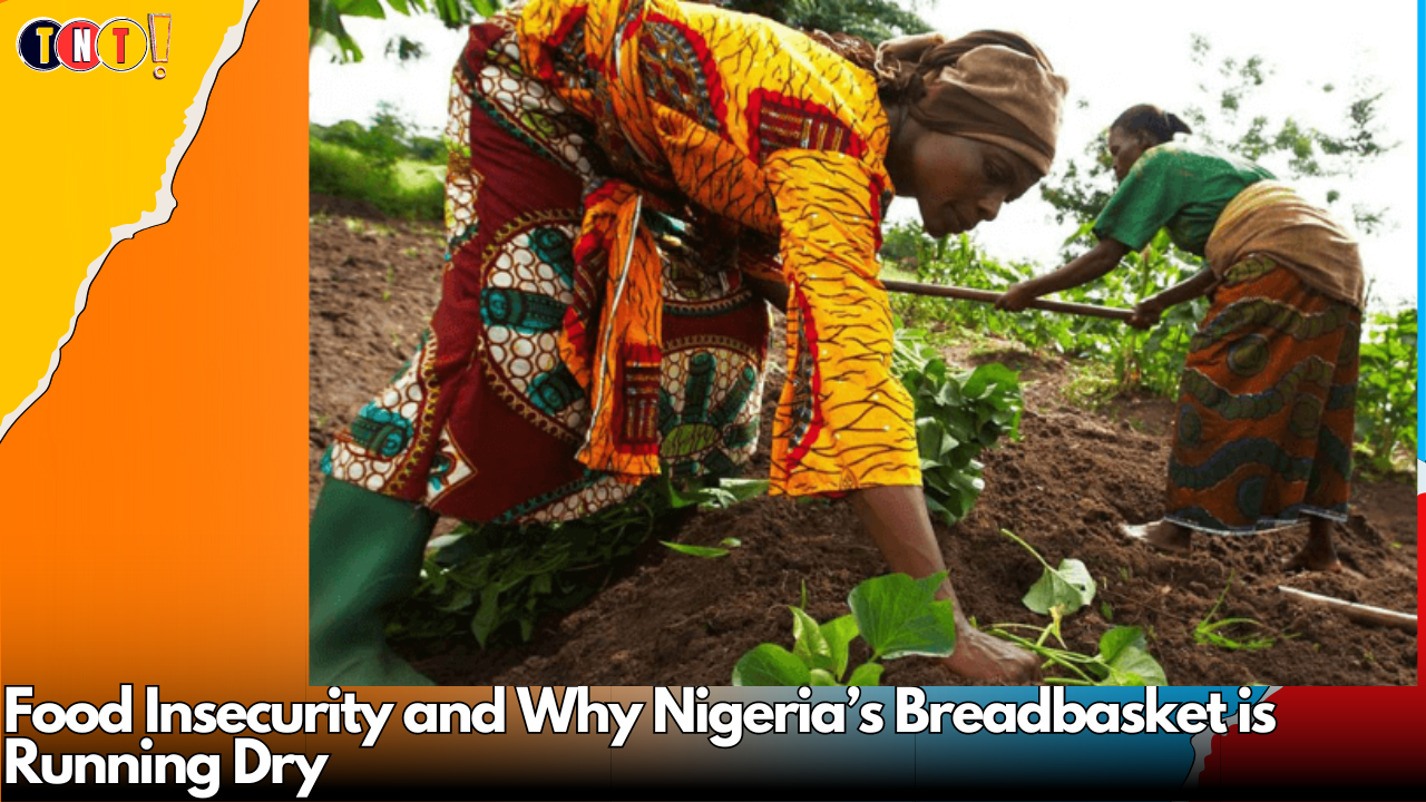 Food Insecurity and Why Nigeria’s Breadbasket is Running Dry