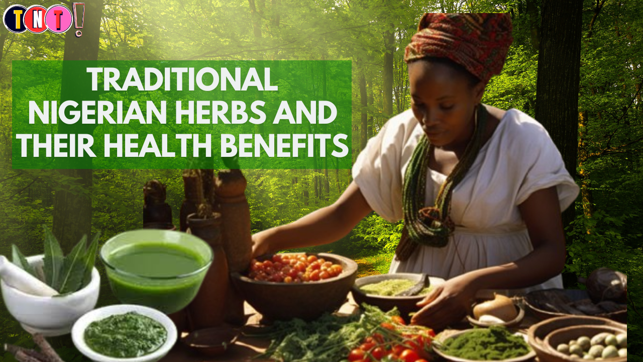 Traditional Nigerian Herbs and Their Health Benefits